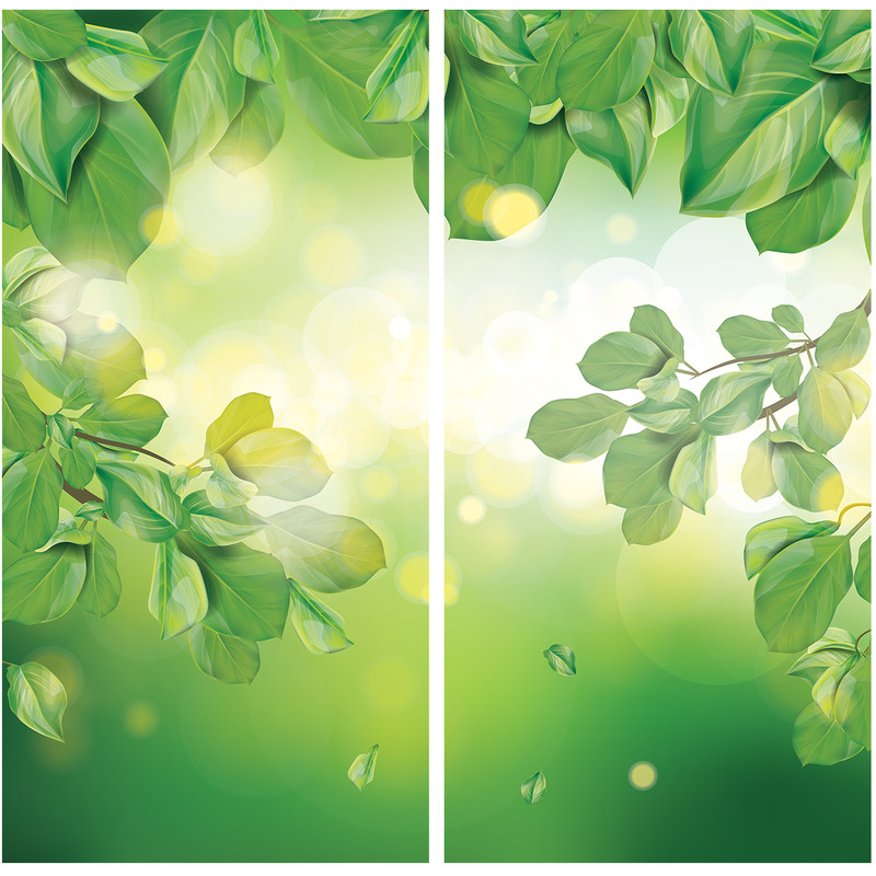 استیکر شیشه طرح طبیعت سبز بسته 2 عددی