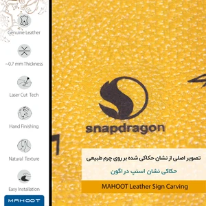 برچسب پوششی ماهوت مدل ML-SNPDRGN مناسب برای گوشی موبایل آنر View 20