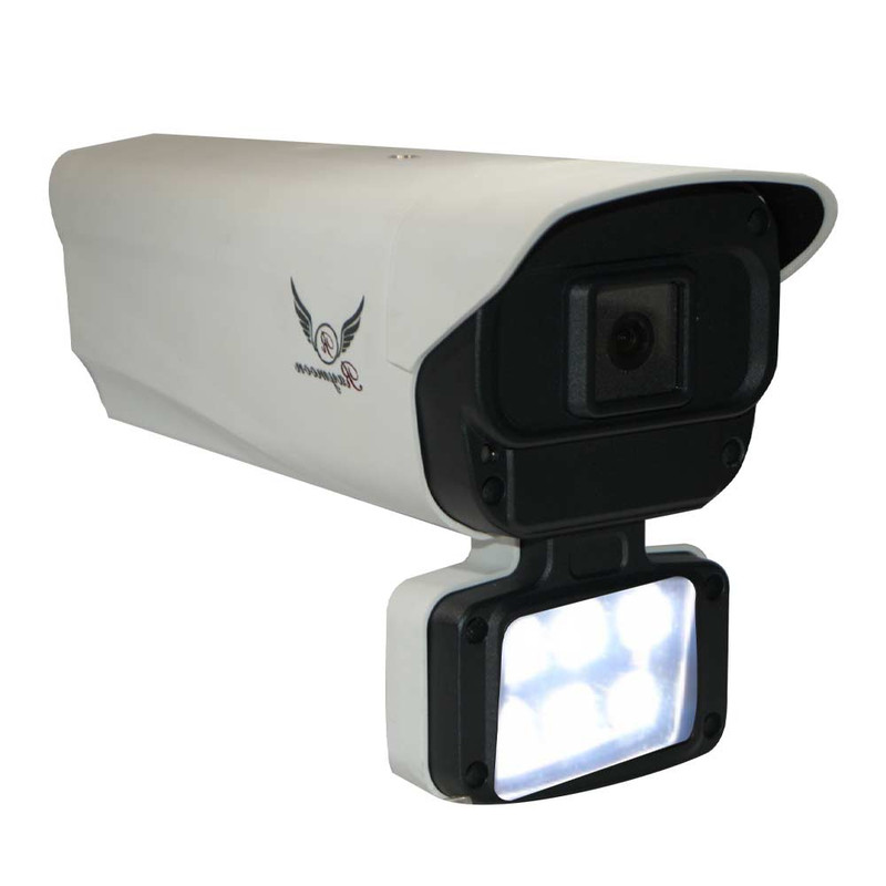 دوربین مداربسته تحت شبکه رایمون مدل RB1000 IP GC 2MP