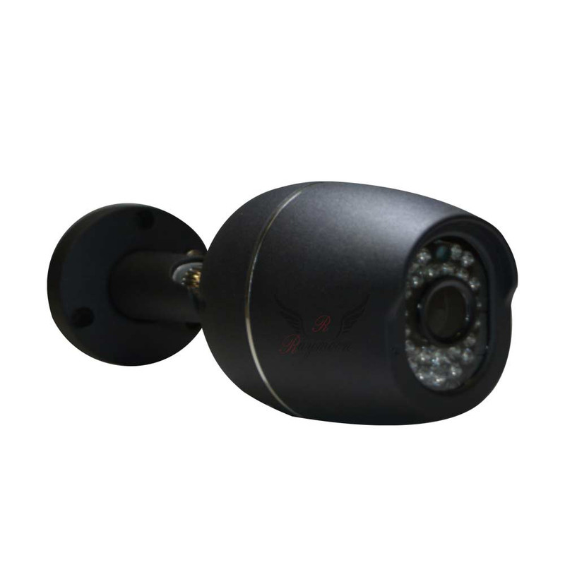 دوربین مداربسته تحت شبکه رایمون مدل RB450 IP GC 5MP