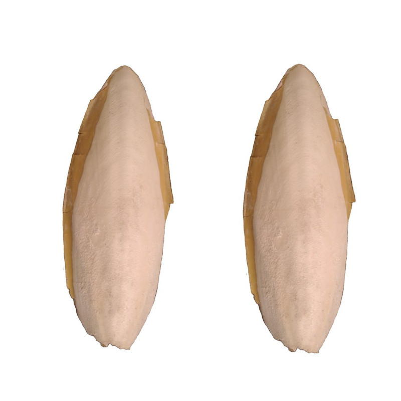 کف دریا کد G 70 وزن ۷۰ گرم مجموعه ۲ عددی