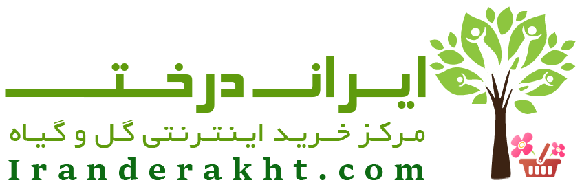 ایران درخت