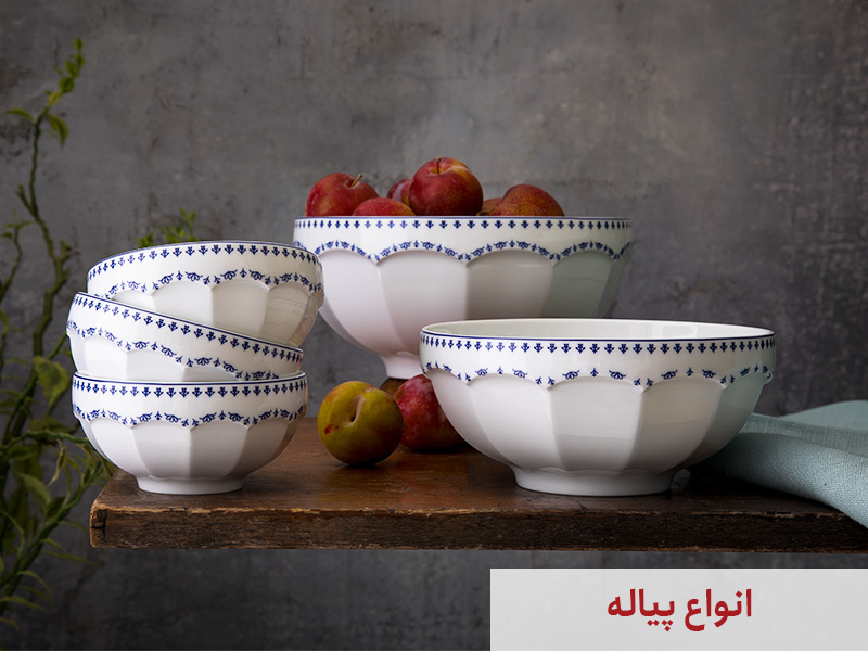 چینی زرین - قیمت جدیدترین محصولات سرویس چینی زرین