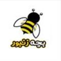 بچه زنبور