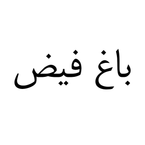 بلوزو
