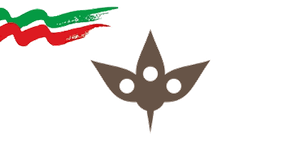تن درست