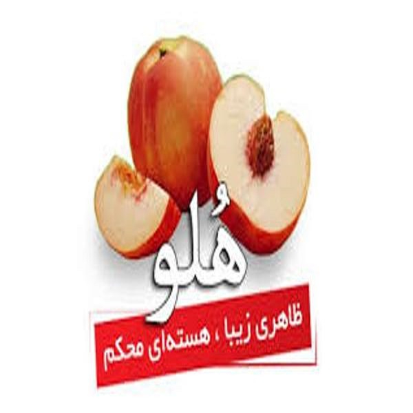 برند هلو