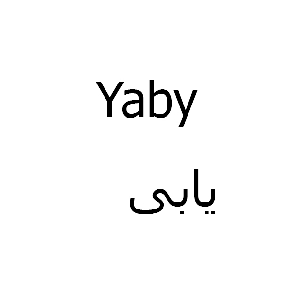 برند یابی