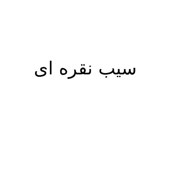 برند سیب نقره ای