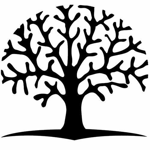 برند سدرا