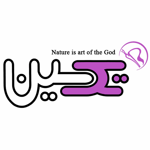 برند تکسین