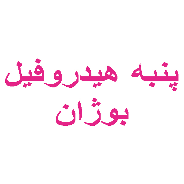 برند پنبه هیدروفیل بوژان