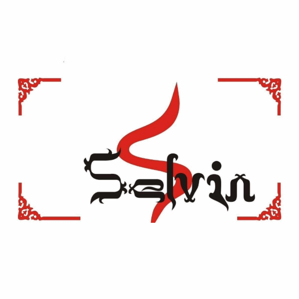 برند سلوین