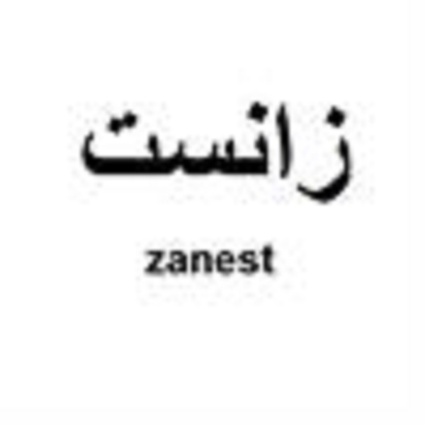 برند زانست