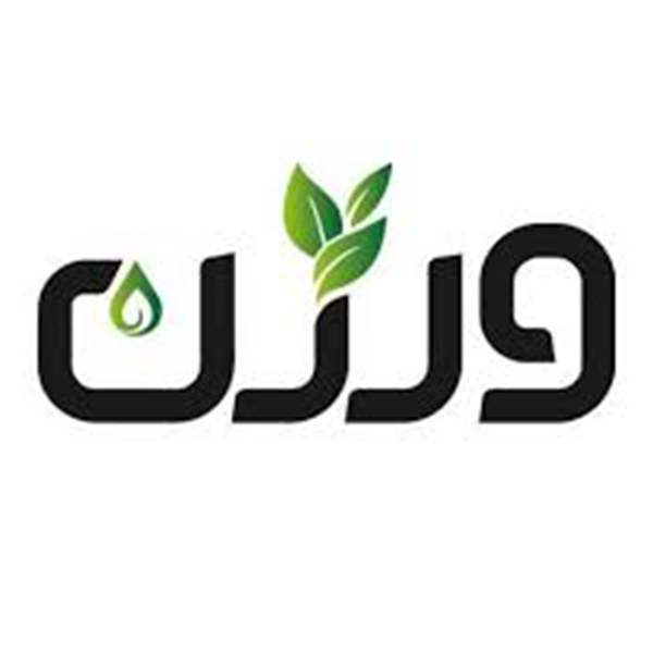 برند ورژن