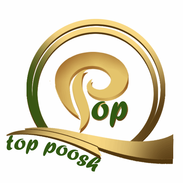 برند تاپ پوش
