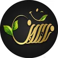 نظرات آجیل سنتی برند نات لاین