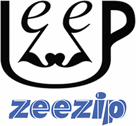 برند زیزیپ
