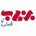 نظرات بخاری برقی برند برفاب