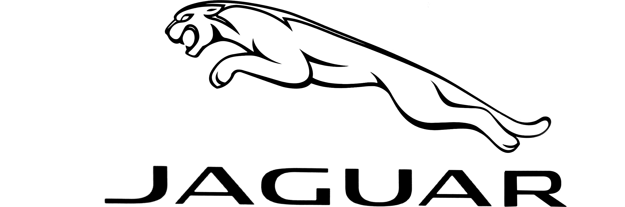 برند جگوار