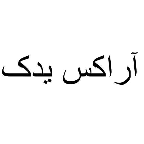 برند آراکس یدک