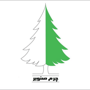 محصولات اصل چرم صنوبر