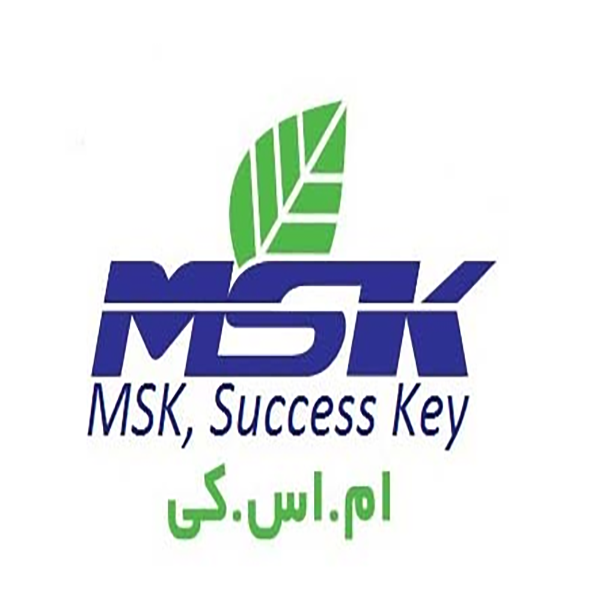 برند ام اس کی