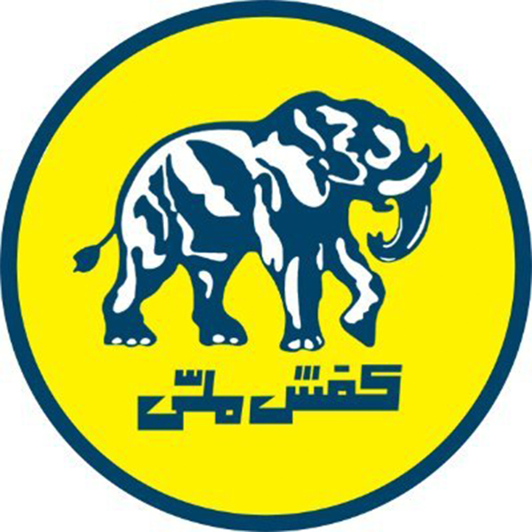 برند کفش ملی