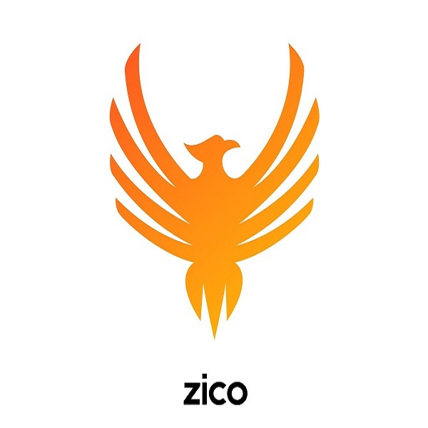 برند زیکو