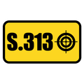 اس.313