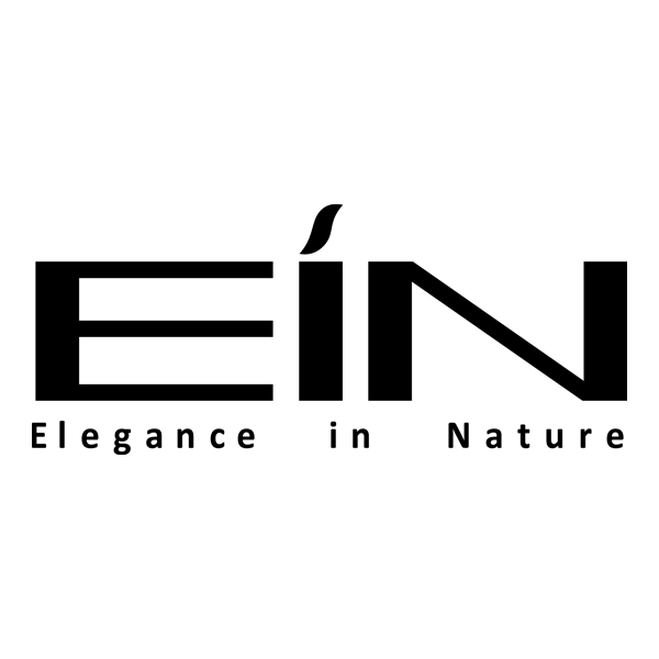 برند ای آی ان