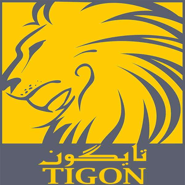 برند تایگون