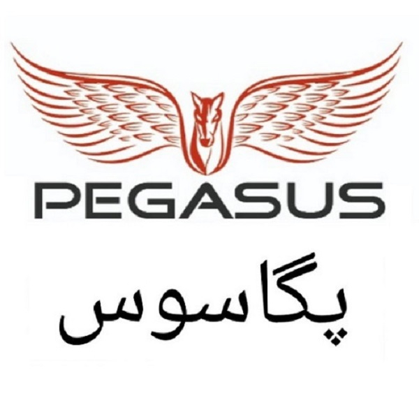 برند پگاسوس