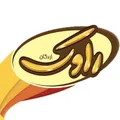 نظرات ارده برند راوک