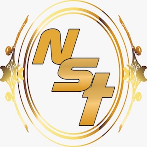 برند ان اس تی