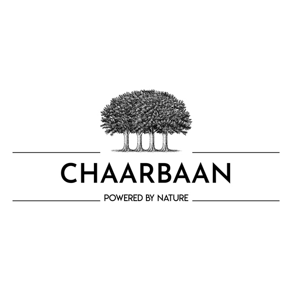 برند چاربان