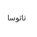 نظرات پیراهن و لباس مجلسی زنانه برند ناتوسا