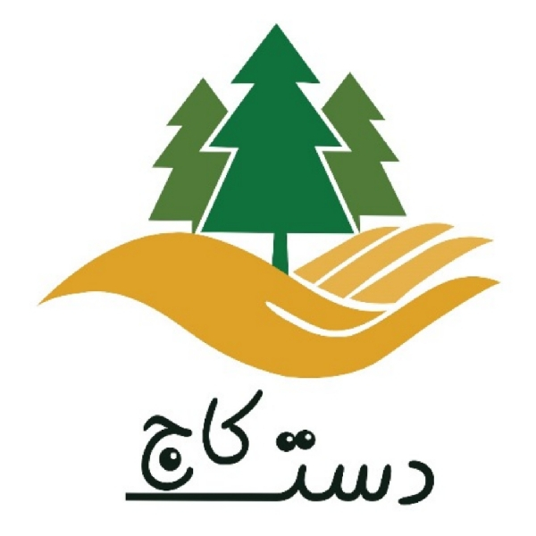 برند دست کاج