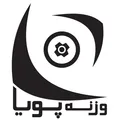 نظرات دمبل برند وزنه پویا