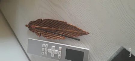 جاعودی مدل پر اکالیپتوس