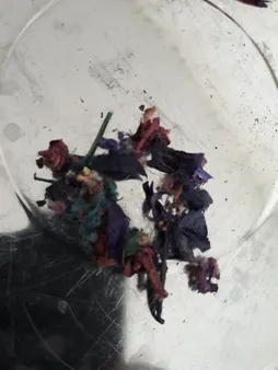 گل خشک بسته بندی مدل رنگارنگ