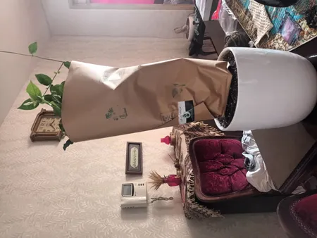 گیاه طبیعی یاس رازقی مدل G-11