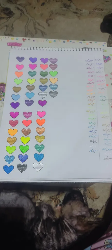 خودکار ژویکسوا مدل اکلیلی نئونی بسته 48 عددی