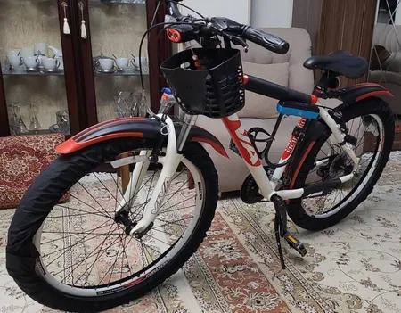 کاور تایر دوچرخه شادکس مدل Z123 بسته 2عددی