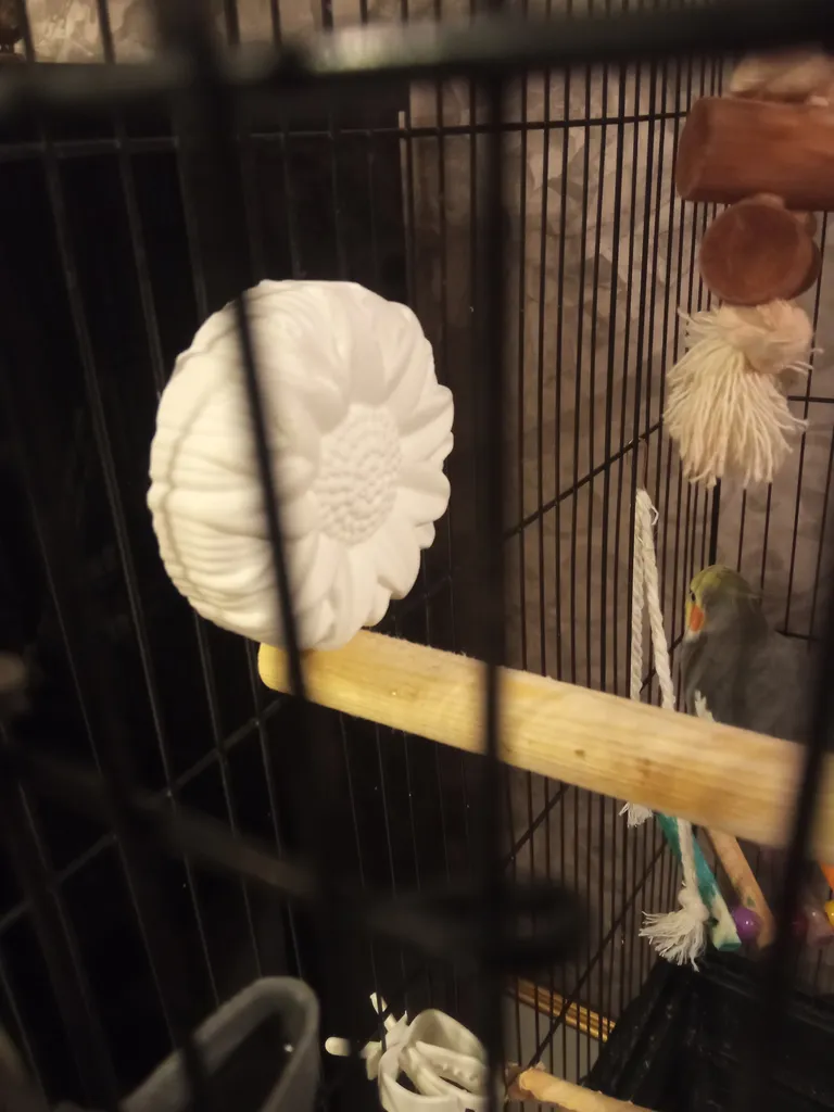 سنگ کلسیم کد C2005 بسته ۲ عددی