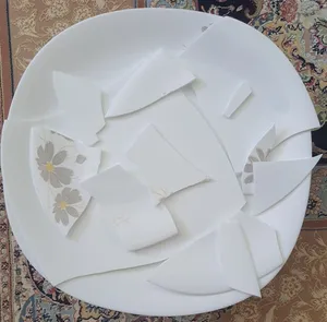 تجریه خرید سرویس غذاخوری گلدن اوپال 25 پارچه مدل شقایق کد Carine