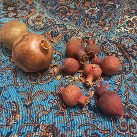 میوه تزیینی مدل انار خشک