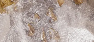 تجریه خرید لوستر 8 شعله شاهان تک کد K.6026