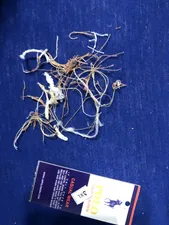 تجریه خرید شلوار زنانه مدل کارگو کد KR