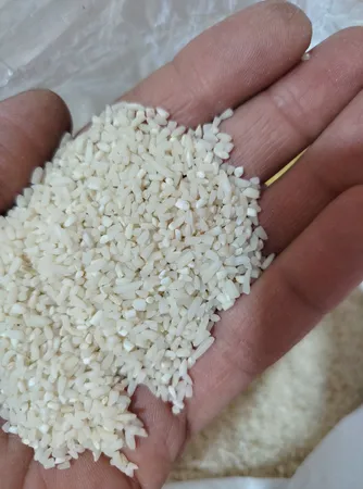 برنج نیم دانه هاشمی گیلان  ورف - 10 کیلوگرم